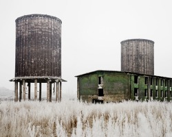 untrustyou:  Tamas Dezso 