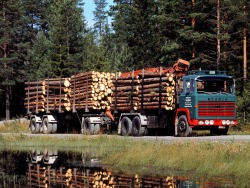 semitrckn:  Coe Scania log haulin