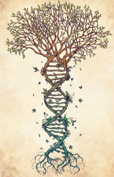 Radiate Love and Peace