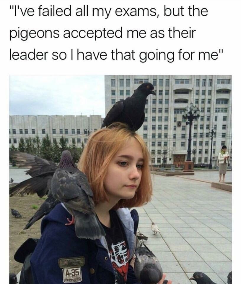 lierdumoa:This is a witch origin story. not even pigeons would accept me&hellip;
