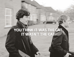 ibelieveinmartinfreeman:  30 Days of Sherlock  Day 20 — Favourite canon reference/in