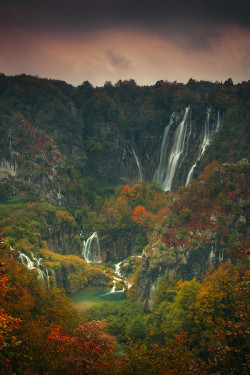 woodendreams:  ( by roblfc1892 roberto pavic)