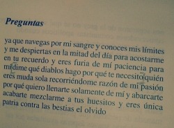 vueltaygiro: “dime qué diablos hago por