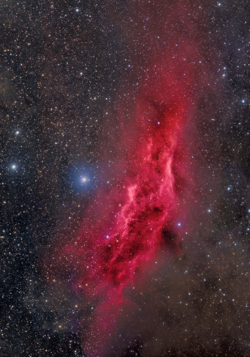 levantineviper:The California Nebula in the constellation Perseus Image credit: Bob Caton, Al Howard