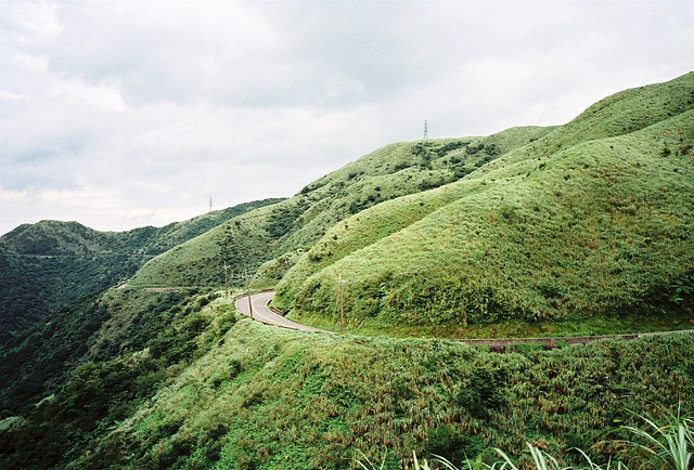  fl0werp0t:  23 by Ladynow on Flickr.     