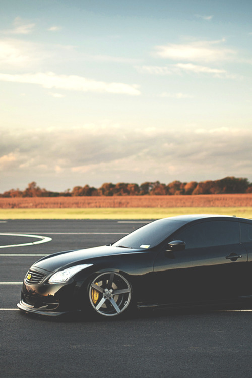 bashum:  G37 | by: Ronaldo.S 