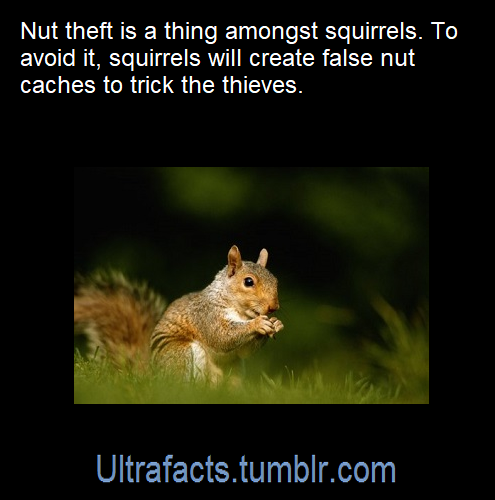ultrafacts: Source: [x] Follow Ultrafacts for more facts! 