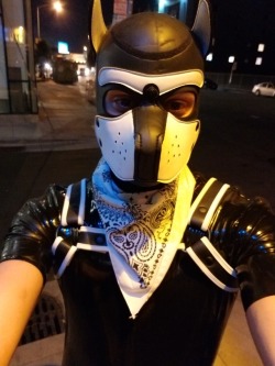 thepupscout:  thepupscout:  Had an amazing time walking a bit around San Francisco and going to the Stud for their pup event. Thanks again to the great people at @mr-s-leather for inviting me! This trip has been awesome so far.  I need to go back asap!