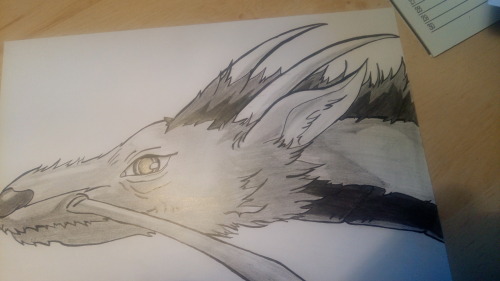 haku spirited away