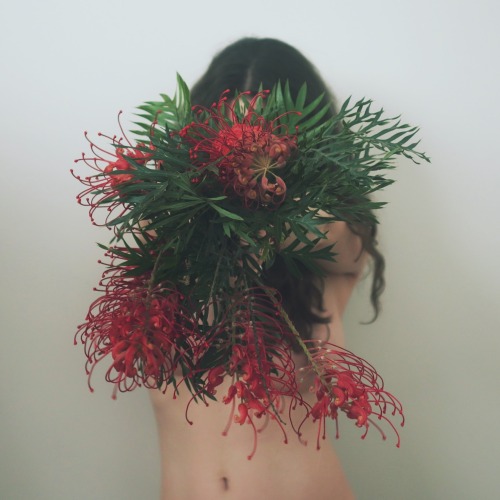 nakedwithflowers:  Had to transplant a beautiful Grevillea today and I didn’t want the flowers to go
