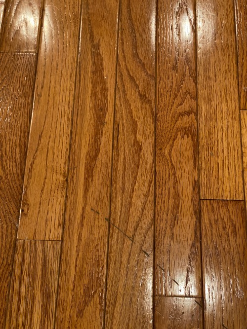 Floorboards Well worn and polished floor boards reflecting a triplet of overhead lamps. Lynnfield, M