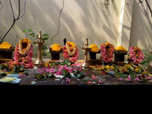 Naga shrine at Kanimangalam Mullaykal Bhagavathi Temple, Kerala