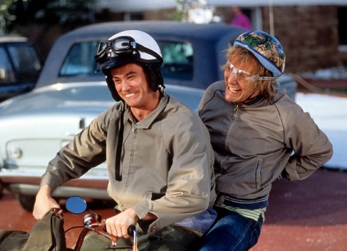 Dumb &amp; Dumber