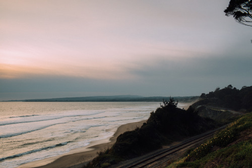 stephaniedolen:  la selva beach, california