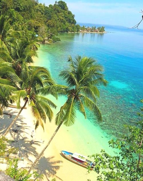 tropicaldestinations:  Tropical beaches on the Maluku Islands, Indonesia (by Chuy Norris)