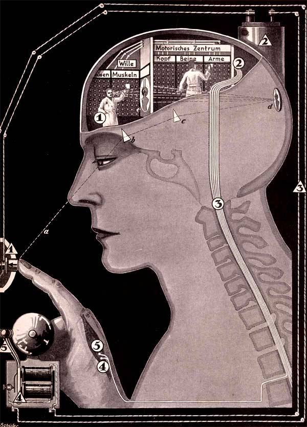 clawmarks:  Fritz Kahn 