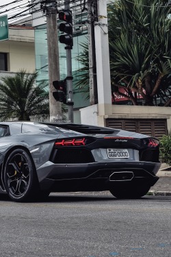 lemme-holla-at-you:  vistale:  V12 Aventador