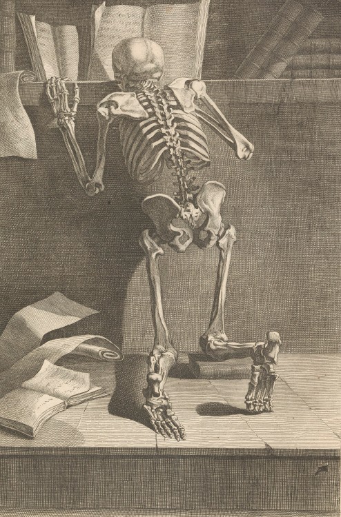 Nouveau recueil d’osteologie et de myologie: Folio 10 (c.1779 - Engraving) - Jacques Gamelin2nd vers