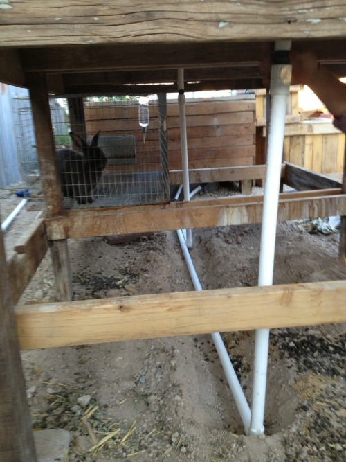 Growbed 2. Plumbing installed. 1" PVC with 1" flexible tube at bulkhead fitting to growbed