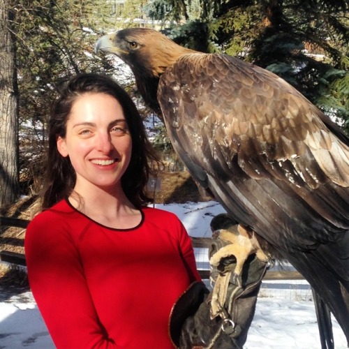 Hanging out with one of my favorite ladies &ndash; our 34-year-old golden eagle! Aspen, CO.