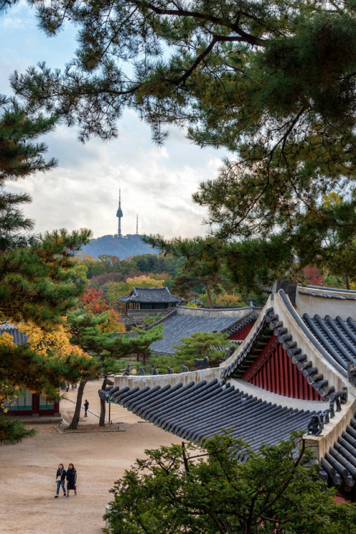 Autumn at Changgyeonggung Palace.