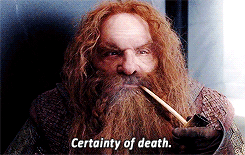 ganseyblues:  “There’s still hope for Frodo. He needs time, and safe passage across the Plains of Gorgoroth. We can give him that.” 