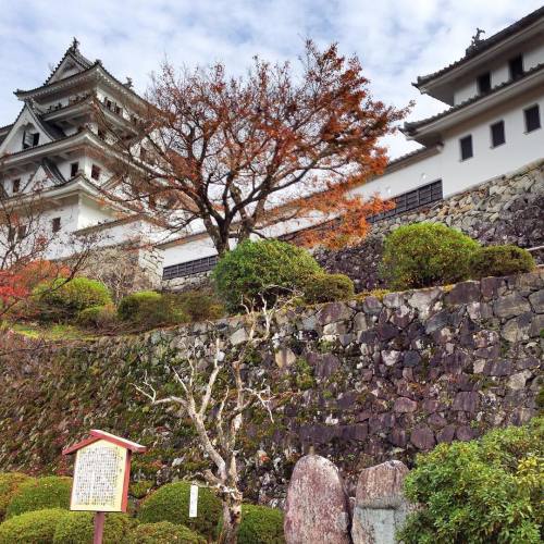 japan-travel-adventures:  Gujo Hachiman Castle is one of the best reconstructed castles in Japan. I 