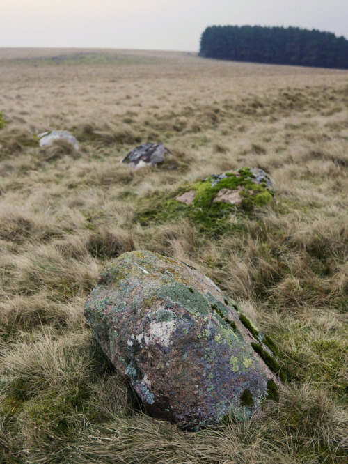 Oddendale Stone Circle, near Shap, Lake District, 14.1.17.I’ve visited this recumbent double s