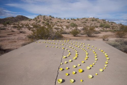 wnyc: Japanese-American Setsuko Winchester explores the history of internment camps in her art. She 