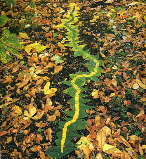 landscape-photo-graphy:  Artist’s Temporary Decaying Art Brings Enchantment To The Forest British sculptor Andy Goldsworthy is known for his phenomenal and temporary, installations which involve using natural elements, ranging from sticks, stones,