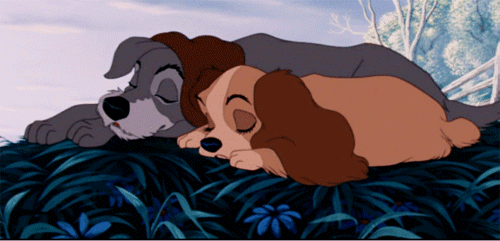 katsallday:  thehappyfangirl:  This was actually a pretty big Disney deal - Lady was one of the first female Disney characters to have conceivably had sex when she had her wild night out with Tramp.  When she returned home, Jock and Trusty immediately