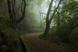 brutalgeneration:  Balcões - Ribeiro Frio by konceptsketcher on Flickr. 