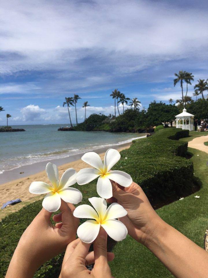 カハラ コネクション プルメリアビーチハウスでのランチの後は 可愛らしいプルメリアの花を拾って写真を一枚 青い海を背景にハワ