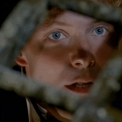 respectablespy:Archie + Eyes