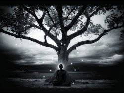 taming-the-monkeys-of-mind:  meditating deep