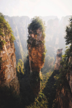 lsleofskye:  Zhangjiajie National Forest