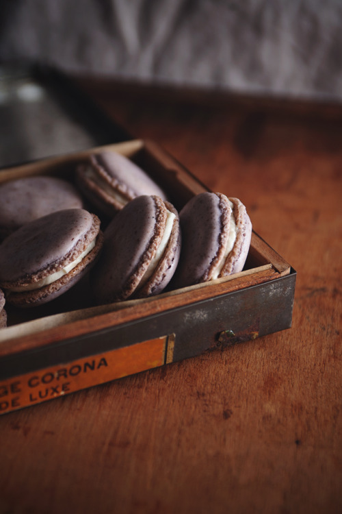 sweetoothgirl: Lavender Macaroons with Honey Buttercream