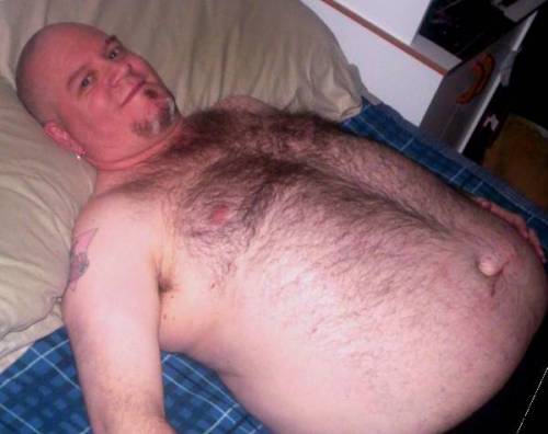 Hollandbear