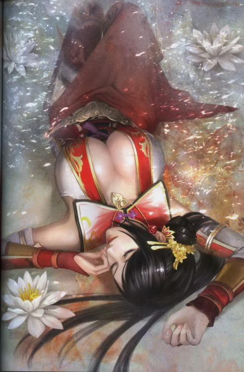 dynasty-warriors:   Dynasty Warriors 8 - Lianshi, artwork 