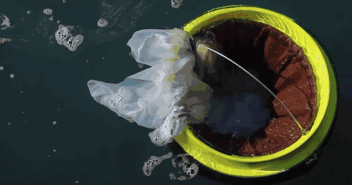 thedarkestlove:  pwrd-by-plants:  Cleaning the oceans one step at a time  Two Australians