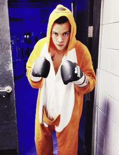 dailyonedirection:  HARRY STYLES’ COSTUMES OF 2013: the boxing kangaroo, a horse, Miley Cyrus, Marcel, a member of Hanson, the elephant from Coldplay’s “Paradise” music video 