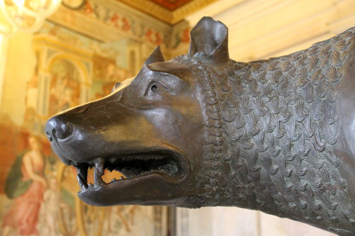 echiromani: Head of the famous Capitoline Wolf, a bronze sculpture dating from perhaps the fifth cen