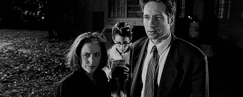 stellagibson:Mulder and Scully + Height Difference in Post-Modern Prometheus