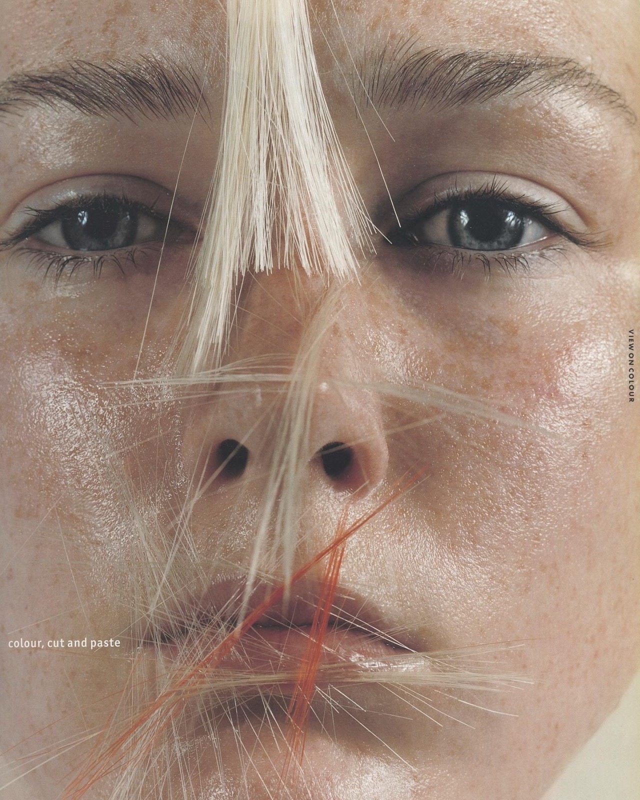 trashgirlmim:Scans from View on Colour 17