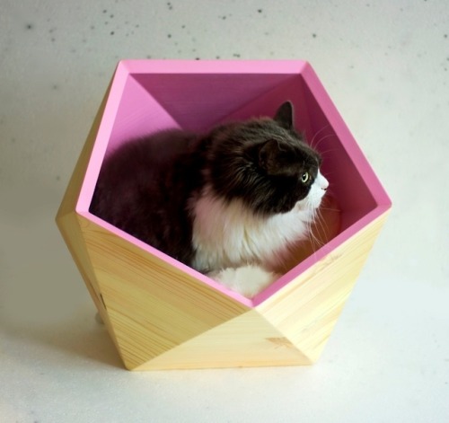 sosuperawesome:Cat HousesCatissa Cat Trees on EtsySee our #Etsy or #Pets tags 