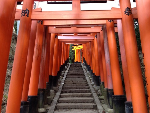 The Fox and The Tower. Today we hung out at the marvellous Fushimi Inari shrine in Kyoto. I had neve