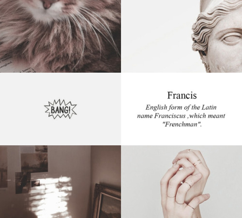 Aesthetic name: Francis – Gryffindor, requested by those-merry-married-mediums 