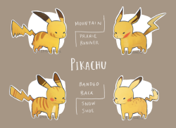 epicawesomepie:More pokemon variations/subspecies!