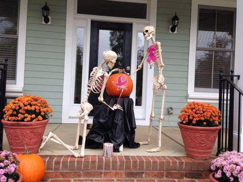 spookydeerchild: kristenraemiller:  For the month of October ‘til Halloween, my dad changes up the scene of these 2 skeletons on his front porch each day for the neighbors to check out. Very creative!  Peaceful times before the skeleton war 