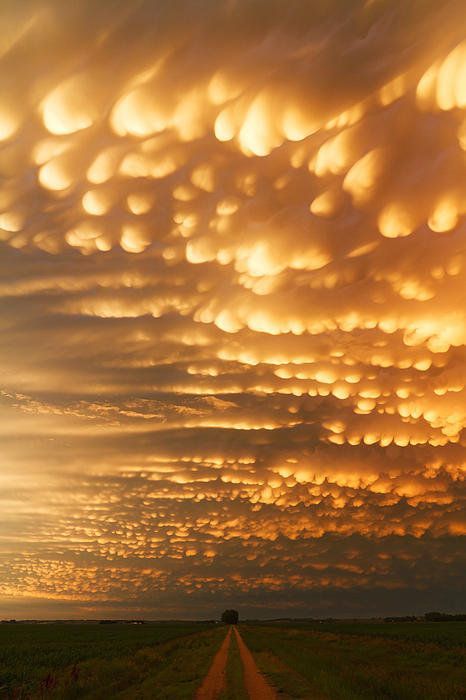 Mammatus Road by Bre